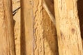 Construction wooden beams destroyed by insect attack Royalty Free Stock Photo