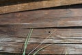 Construction wooden boards with old construction brown paint, green grass and sand after rain. Royalty Free Stock Photo