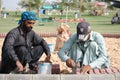 Construction work in public park