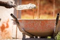 Construction worker/bricklayer/mason holding trowel with wet cement