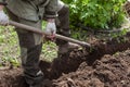 A construction worker digs a trench with a shovel in the Park. A trench for a pipeline or cable