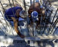 Construction worker laying interlocking paving concrete