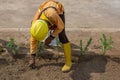 Construction worker planting grass in the facility area.