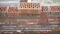 Construction worker. Portrait of mason bricklayer installing red brick with trowel putty knife outdoors. Mortar and brick. Royalty Free Stock Photo