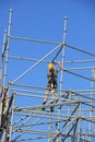 Construction worker on scaffolding