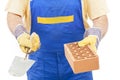 Construction Worker with Trowel and Brick with Clipping Path Royalty Free Stock Photo