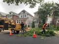 Construction Workers Cleaning up Tree Damage in Queens New York from Tropical Storm Isaias NY Royalty Free Stock Photo