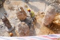 Construction workers cutting concrete bore pile up to the determined level at the construction site.