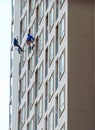 Construction workers hanging on a rope. Royalty Free Stock Photo