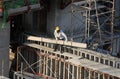 Construction workers at high-rise building