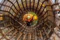 Construction workers steel tie.Selective focus.