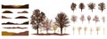 Constructor. Silhouettes of beautiful bare trees. Creation of autumn or winter beautiful park, forest, landscape, woodland, Royalty Free Stock Photo