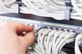 IT consultant connects a network cable into switch in datacenter Royalty Free Stock Photo