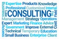 Consulting Word Cloud Royalty Free Stock Photo