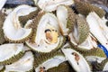 Consumed durian husks waste recycled as durian husk pulp paper