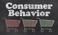 Consumer Behavior