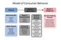 Consumer behavior model consist of stimuli, buyer\'s black box and response