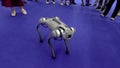 Consumer-grade companion bionic robot dog