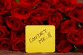 Contact me text with Red roses in a bunch as a background. Royalty Free Stock Photo