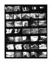Contact Sheet Black And White Negatives
