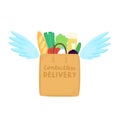 Contactless express safe delivery service. Grocery products bag with wings
