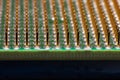 Contacts on the processor close up, background or texture Royalty Free Stock Photo