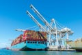 Container cargo cranes unloading container ship Maersk Essex