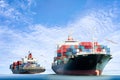 Container Cargo ship in the ocean with Birds flying in blue sky Royalty Free Stock Photo