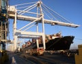 Container Cargo Ship Unloading