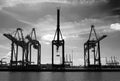 Container cranes Rotterdam harbour Royalty Free Stock Photo