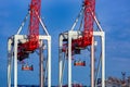 Container cranes at shipyard big heavy technique for unloading containers. Royalty Free Stock Photo