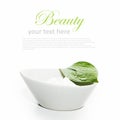 Container cream with green leaf isolated on white