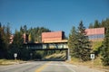 Container freight train passing on railway crossing the road in the forest at national park Royalty Free Stock Photo