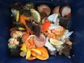 Container full of domestic food waste Royalty Free Stock Photo