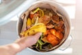 Container full of domestic food waste ready to be composted Royalty Free Stock Photo