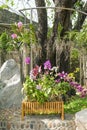 Container garden. Planters with different kind of flowers. Flower pots outside. Beautiful view. Nature concept Royalty Free Stock Photo