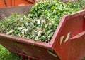 Container with green waste horticulture Royalty Free Stock Photo