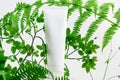 Container for lotion or toiletry. Unbranded flacon on stand. Forest fern leaves on light background. Tube for professional