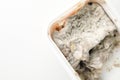 Container with mold on white background, space for text Royalty Free Stock Photo