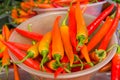 Container of peppers Royalty Free Stock Photo