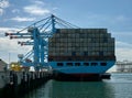 Container ship and cranes Rotterdam harbour Royalty Free Stock Photo