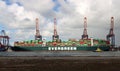 Container ship Ever Govern of Evergreen is unloaded and loaded with containers on the Maasvlakte