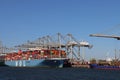 Container ship from MOL in the Maasvlakte harbor in the Port of Rotterdam