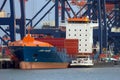 Container ship moored port rotterdam Royalty Free Stock Photo