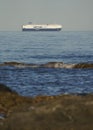 Container ship at open sea. Royalty Free Stock Photo