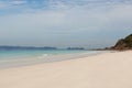 Container shipping by the sea. Sand beach tropical summer background. Cargo ship.