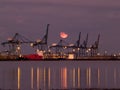 Container Ships Being Loaded at Night