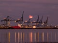 Container Ships Being Loaded at Night