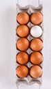 Container of ten eggs. Nine eggs brown one egg white.