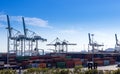 Container terminal, cargo port. Royalty Free Stock Photo